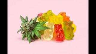 CBD Gummies Where To Buy (Best CBD Gummies Review!)