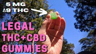 Viia Hemp Cloud 9 THC+CBD Gummies Review