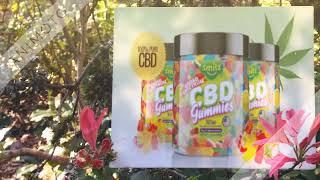 Blake Shelton CBD Gummies Reviews: Does It Work? Read  Consumer Reports